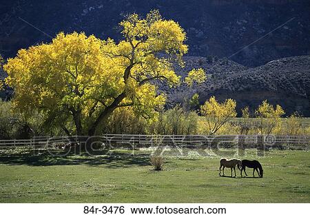 Utah, USA View Large Photo Image Stock Photograph - Utah, USA. Fotosearch