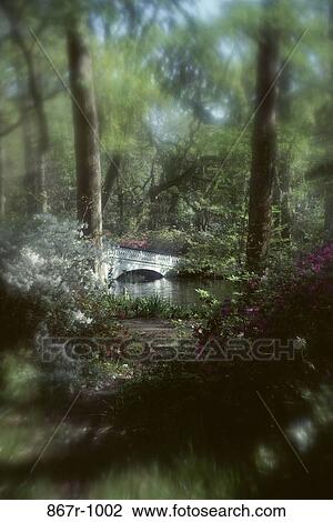 Stock Image - water, lake, bridge, trees, nature, forest, park. Fotosearch