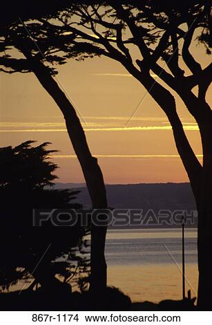 water, landscape, sunset, lake, trees, nature, tranquil View Large Photo Image Picture - water, landscape, sunset, lake, trees, nature, tranquil. Fotosearch