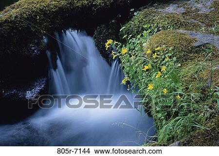 Picture - Watson Falls, Oregon, USA. Fotosearch