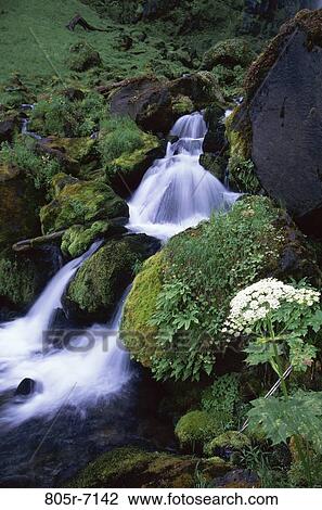 Watson Falls, Oregon, USA View Large Photo Image Stock Image - Watson Falls, Oregon, USA. Fotosearch