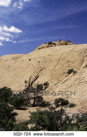Picture - Whale Rock, Canyonlands National Park, Utah, USA. Fotosearch