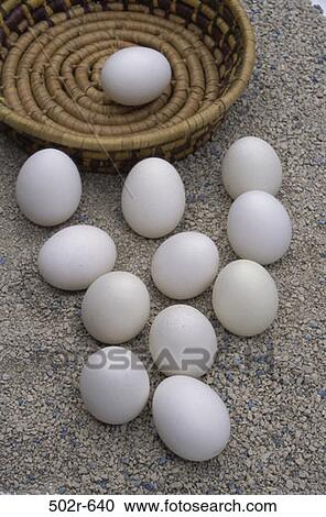 white, breakfast, basket, food, dairy, still life, poultry View Large Photo Image Stock Image - white, breakfast, basket, food, dairy, still life, poultry. Fotosearch