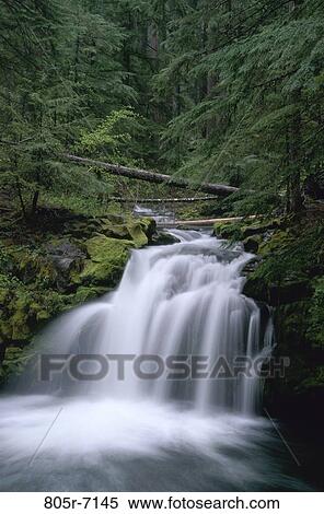 Whitehorse Falls, Oregon, USA View Large Photo Image Stock Photography - Whitehorse Falls, Oregon, USA. Fotosearch
