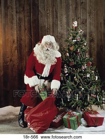 wrapped, Christmas, Christmas tree, gifts, presents, surprise, surprised View Large Photo Image Stock Photograph - wrapped, Christmas, Christmas tree, gifts, presents, surprise, surprised. Fotosearch