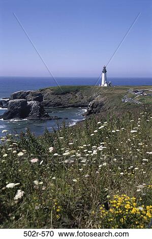 Yaquina Head Lighthouse, Oregon, USA View Large Photo Image Stock Image - Yaquina Head Lighthouse, Oregon, USA. Fotosearch