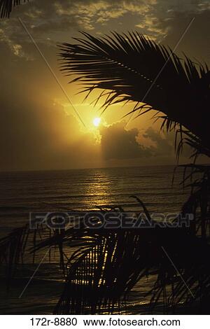 Yucatan, Mexico View Large Photo Image Stock Image - Yucatan, Mexico. Fotosearch