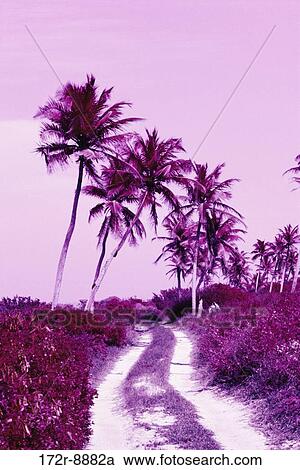 Stock Image - Yucatan, Mexico. Fotosearch