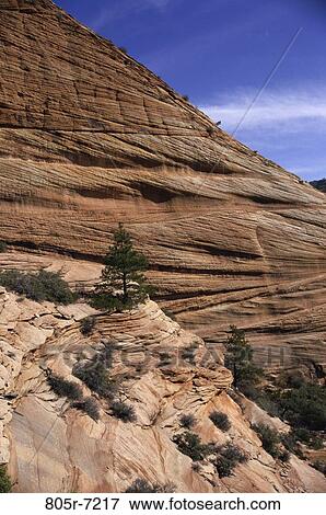 Stock Photo - Zion National Park, Utah, USA. Fotosearch