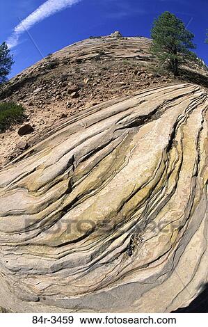 Stock Photo - Zion National Park, Utah, USA. Fotosearch