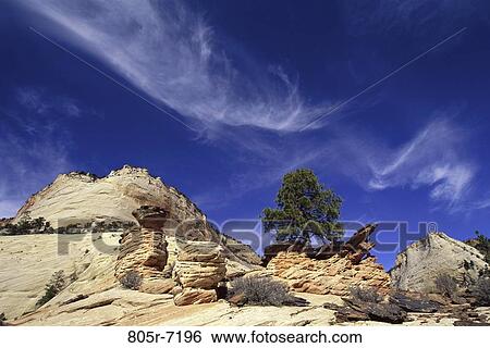 Zion National Park, Utah, USA View Large Photo Image Stock Photograph - Zion National Park, Utah, USA. Fotosearch