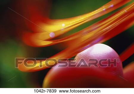 Stock Photo - blur, industry, light, communications, fingers, industrial, fiber optics. Fotosearch