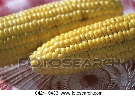 Stock Image - corn, food, still life, fresh, vegetable, cob. Fotosearch