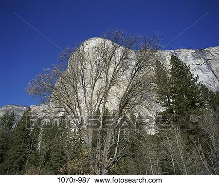 Stock Photo - El Capitan, Yosemite National Park, California, USA. Fotosearch