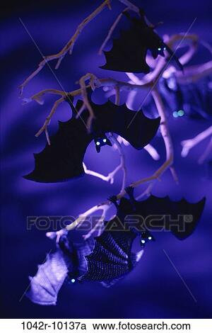 eyes, hanging, glowing, Halloween, branches, eerie, glow View Large Photo Image Stock Image - eyes, hanging, glowing, Halloween, branches, eerie, glow. Fotosearch