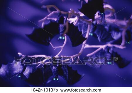 Stock Image - eyes, hanging, glowing, Halloween, branches, eerie, glow. Fotosearch