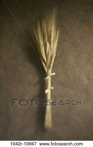 Stock Photo - Field, farm, wheat, farming, grain, crop, industry. Fotosearch