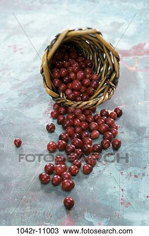 fruit, spilled, basket, food, still life, fresh View Large Photo Image Stock Image - fruit, spilled, basket, food, still life, fresh. Fotosearch