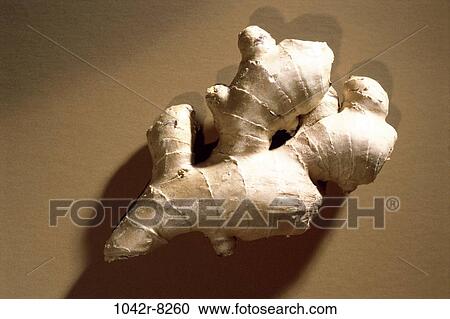 Ginger View Large Photo Image Stock Image - Ginger. Fotosearch