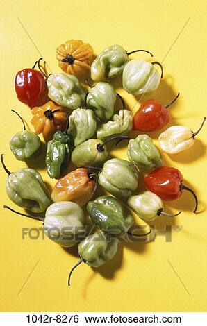 Stock Photograph - Habanero Peppers. Fotosearch