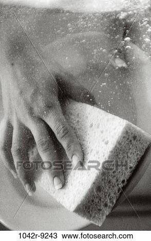 hands, water, woman, bubbles, scrubbing, dish, washing View Large Photo Image Stock Image - hands, water, woman, bubbles, scrubbing, dish, washing. Fotosearch