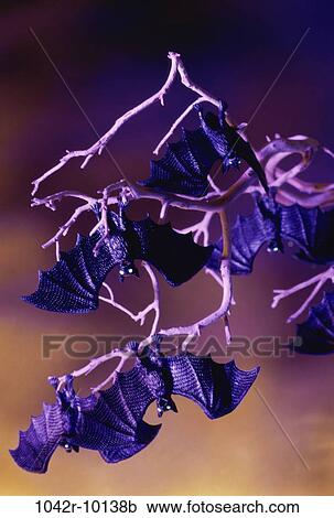 hanging, Halloween, branches, eerie, holiday, bats, hang View Large Photo Image Stock Image - hanging, Halloween, branches, eerie, holiday, bats, hang. Fotosearch