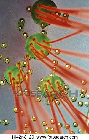 industry, communications, industrial, lights, background, still life, fiber optics View Large Photo Image Stock Image - industry, communications, industrial, lights, background, still life, fiber optics. Fotosearch