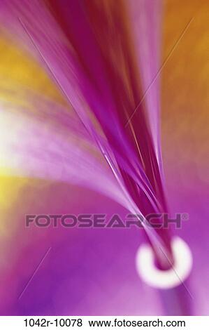 , industry, communications, industrial, lights, still life, fiber optics View Large Photo Image Stock Photo - , industry, communications, industrial, lights, still life, fiber optics. Fotosearch
