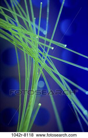industry, communications, industrial, lights, background, still life, fiber optics View Large Photo Image Stock Photo - industry, communications, industrial, lights, background, still life, fiber optics. Fotosearch