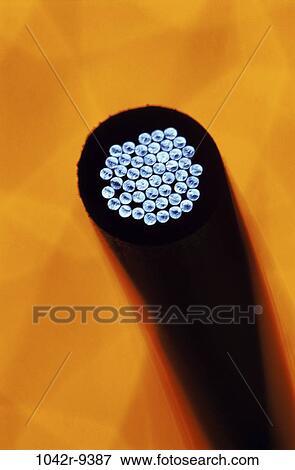 industry, communications, industrial, lights, still life, fiber optics, Technology fiber optics View Large Photo Image Stock Photo - industry, communications, industrial, lights, still life, fiber optics, Technology fiber optics. Fotosearch