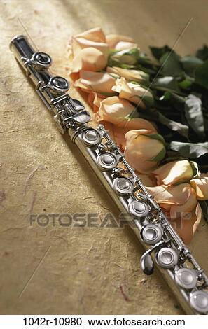 music, arts, entertainment, roses, flute, musical View Large Photo Image Stock Image - music, arts, entertainment, roses, flute, musical. Fotosearch