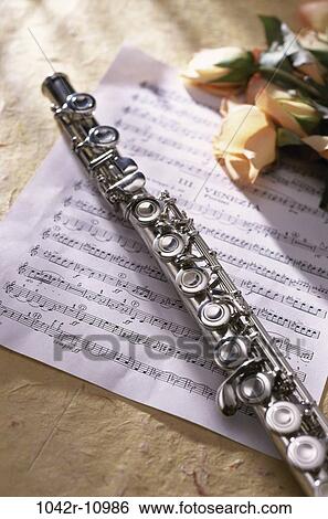 music, arts, entertainment, roses, flute, musical View Large Photo Image Stock Photograph - music, arts, entertainment, roses, flute, musical. Fotosearch