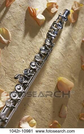 music, rose, arts, entertainment, flute, musical View Large Photo Image Stock Image - music, rose, arts, entertainment, flute, musical. Fotosearch