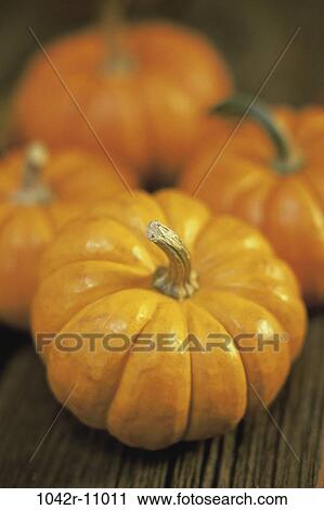 nature, Pumpkins various, season, pumpkins, autumn View Large Photo Image Stock Image - nature, Pumpkins various, season, pumpkins, autumn. Fotosearch