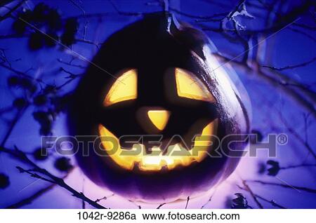 Stock Image - night, hanging, pumpkin, outdoors, glowing, Halloween, branches. Fotosearch