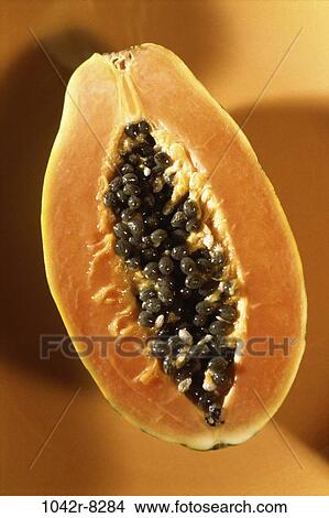 Papaya View Large Photo Image Picture - Papaya. Fotosearch