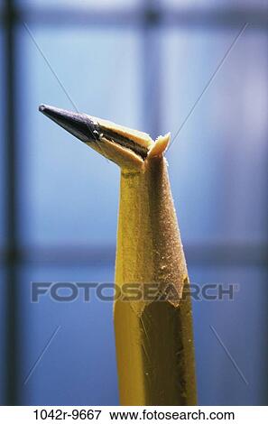 pencil, broken, defeat, point, education, still life, break View Large Photo Image Stock Photo - pencil, broken, defeat, point, education, still life, break. Fotosearch