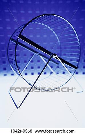 pet, wheel, still life, toy, hamster wheel, Still lifes various View Large Photo Image Stock Photo - pet, wheel, still life, toy, hamster wheel, Still lifes various. Fotosearch