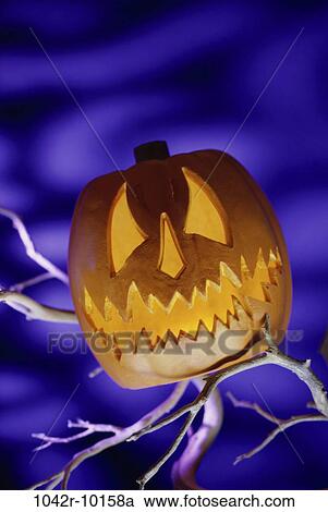 Stock Image - pumpkin, Halloween, branches, still life, scary, decoration, carved. Fotosearch