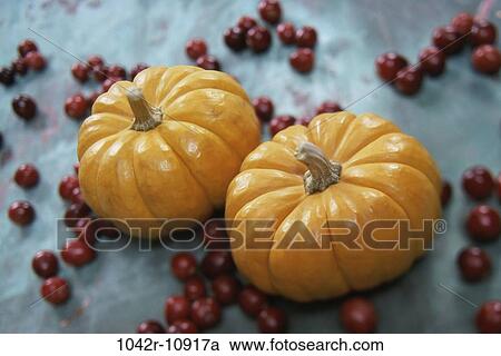 Stock Image - Pumpkins various, nature, season, berries, pumpkins, autumn. Fotosearch