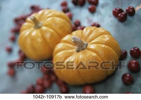 Pumpkins various, nature, season, berries, pumpkins, autumn View Large Photo Image Stock Image - Pumpkins various, nature, season, berries, pumpkins, autumn. Fotosearch