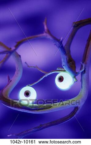 spooky, eyes, glowing, Halloween, branches, still life, scary View Large Photo Image Stock Image - spooky, eyes, glowing, Halloween, branches, still life, scary. Fotosearch