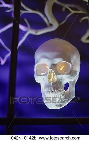 Stock Image - spooky, floating, eyes, window, glowing, Halloween, skull. Fotosearch