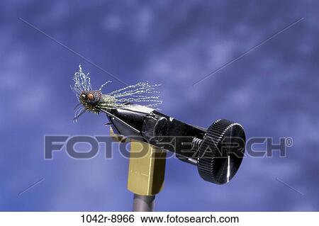 sports, fishing, sports equipment, still life, vice, lure, fly View Large Photo Image Stock Photograph - sports, fishing, sports equipment, still life, vice, lure, fly. Fotosearch