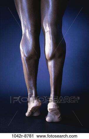 standing, strength, body parts, legs, feet, stand, muscle View Large Photo Image Stock Image - standing, strength, body parts, legs, feet, stand, muscle. Fotosearch