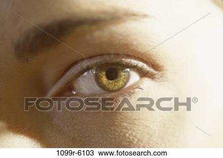 eye, body parts, Caucasian, eyebrow, Body parts eyes View Large Photo Image Stock Image - eye, body parts, Caucasian, eyebrow, Body parts eyes. Fotosearch