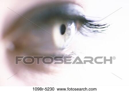eye, iris, body parts, makeup, looking, eyelashes, eye shadow View Large Photo Image Stock Image - eye, iris, body parts, makeup, looking, eyelashes, eye shadow. Fotosearch