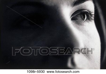 eye, nose, face, body parts, looking, eyelashes, look View Large Photo Image Stock Image - eye, nose, face, body parts, looking, eyelashes, look. Fotosearch