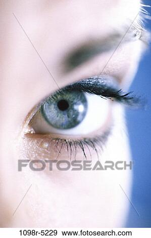eye, staring, blue, iris, body parts, makeup, looking View Large Photo Image Stock Photo - eye, staring, blue, iris, body parts, makeup, looking. Fotosearch