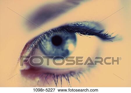 Stock Photo - eye, staring, body parts, makeup, looking, stare, eyelashes. Fotosearch